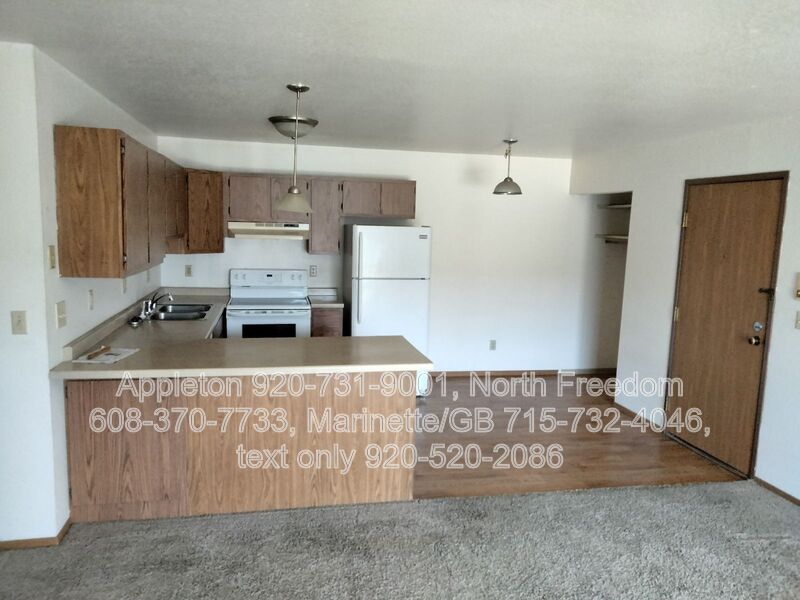 Appleton Condo: 139 E. Mitchell Ave. #3