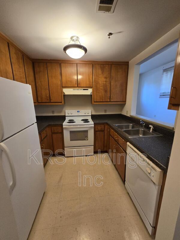 Petersburg Condo: 633 W. Washington Street