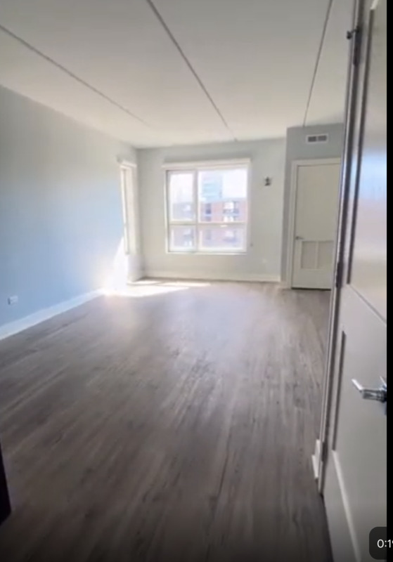 Chicago Condo: 1200 N Wells