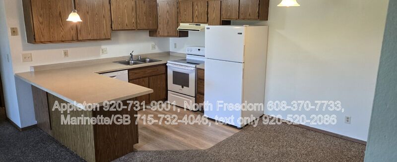 Appleton Condo: 101 E. Mitchell Ave. #7