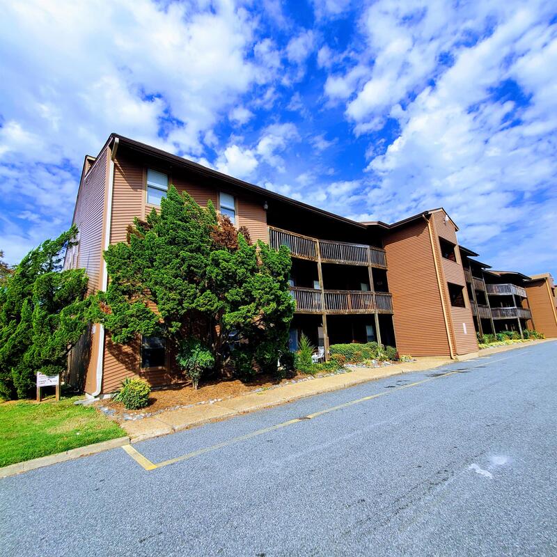Request a Viewing for 8530 Tidewater Drive 101 Tenant Turner