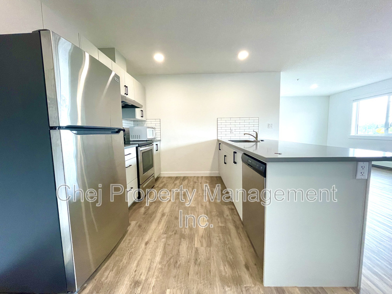 Edmonton Condo: 10882 98st NW
