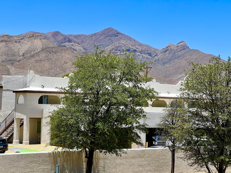 El Paso Condo: 4512 Arlen Ave Apt C