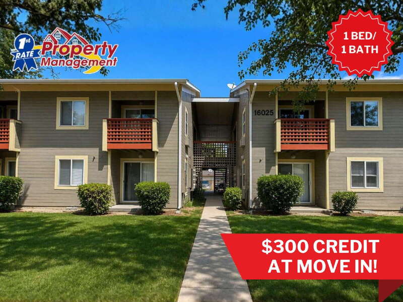 Boise Condo: 850 W. Belmont Street