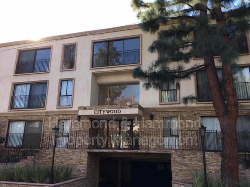 Sherman Oaks Condo: 15344 Weddington St.