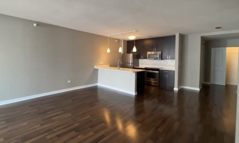 Chicago Condo: 739 N Wabash Ave