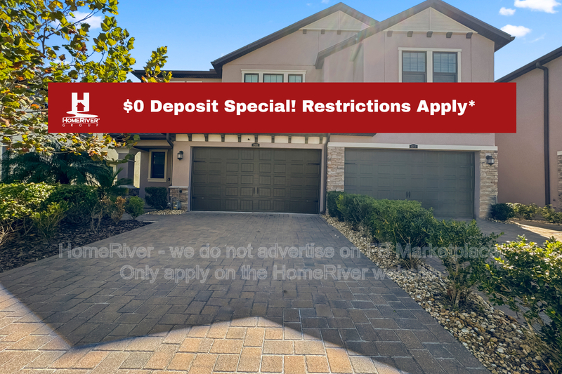 Wesley Chapel Townhome: 4901 San Martino Dr