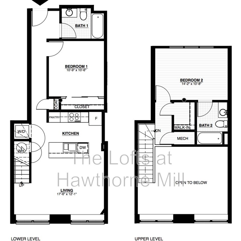 Charlotte Apartment: 1101 Hawthorne Lane