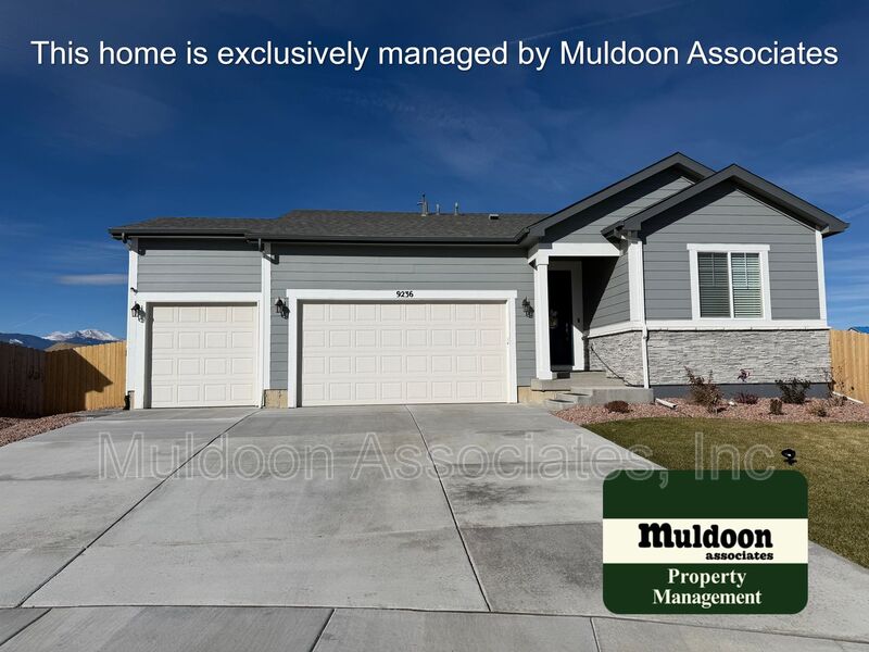 Colorado Springs House: 9236 Marsh Elder Pl