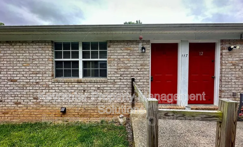 Staunton Condo: 117 Olive St