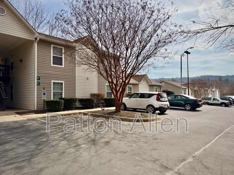 Weaverville Condo: 25 Maybelle Ln