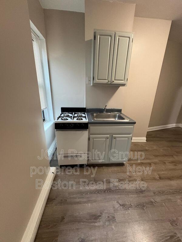 Jamaica Plain Condo: 191 Green St