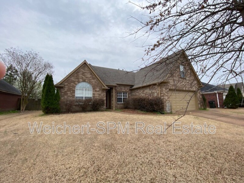 Oakland House: 325 Mossy Springs