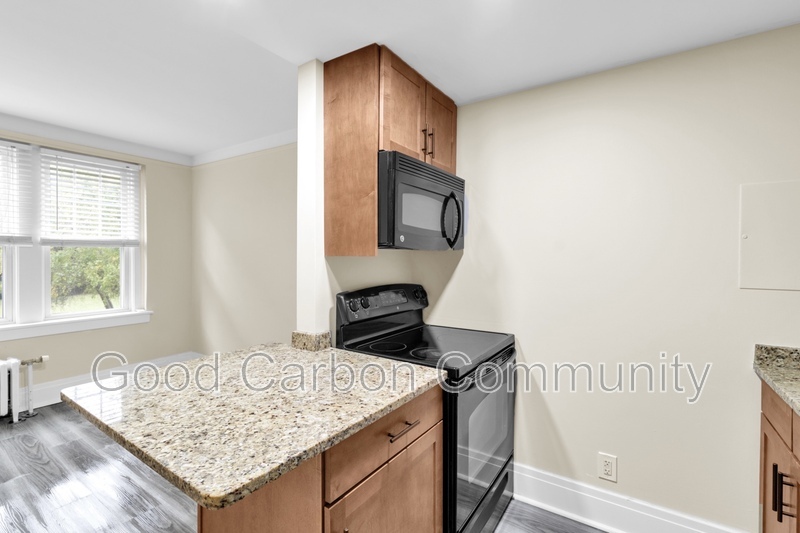 Buffalo Condo: 175 North St.