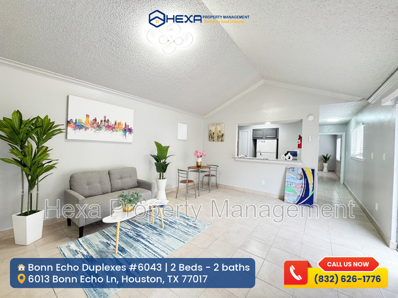 Houston Condo: 6043 Bonn Echo Ln