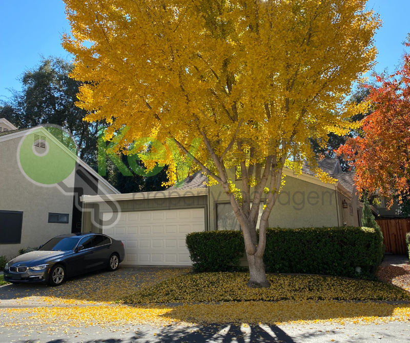 West Sacramento House: 2692 Bradford Way