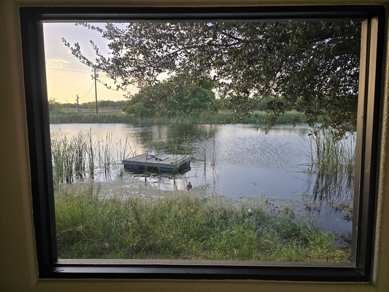 Charlotte Condo: 126 Alton Avenue - C2