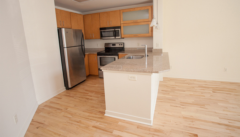 Harrisonburg Condo: 242 East Water Street Suite 101