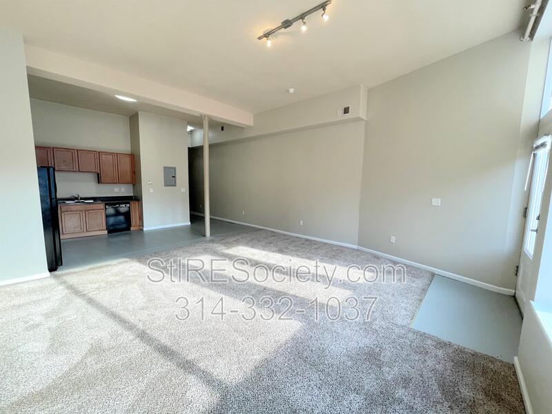 St. Louis Condo: 119 Blow St. #C