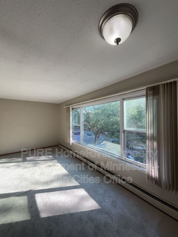 Minneapolis Condo: 1500 10th Ave S