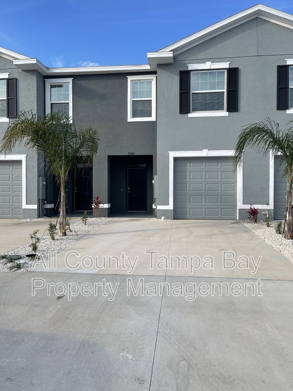 Wesley Chapel Townhome: 33061 Major Oak Dr