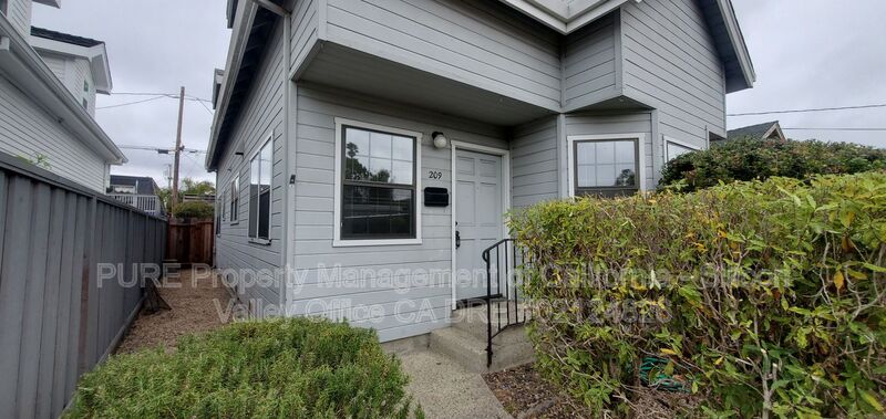 Santa Cruz House: 209 Park Avenue