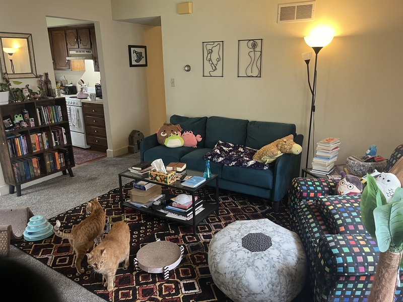 Lawrence House: 1342 New Jersey Street