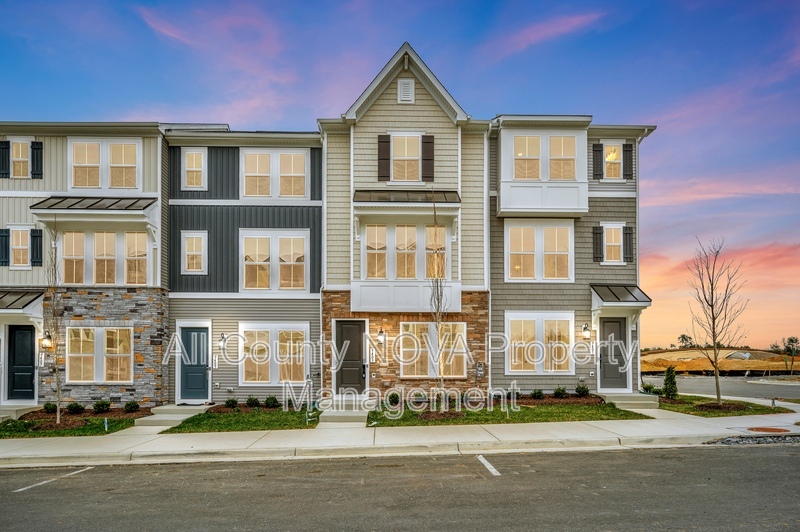 Fredericksburg Townhome: 9403 Pacific Elm St