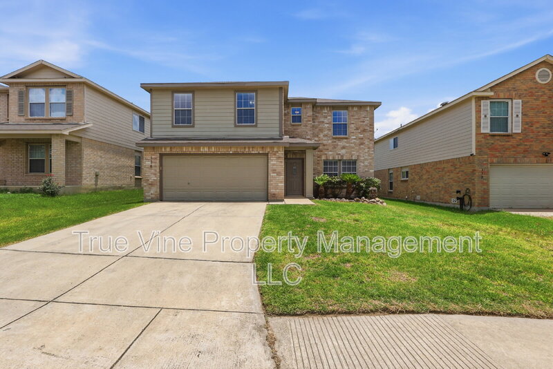 San Antonio House: 136 Texas Mulberry