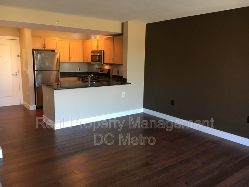 Washington Condo: 800 4th St SW