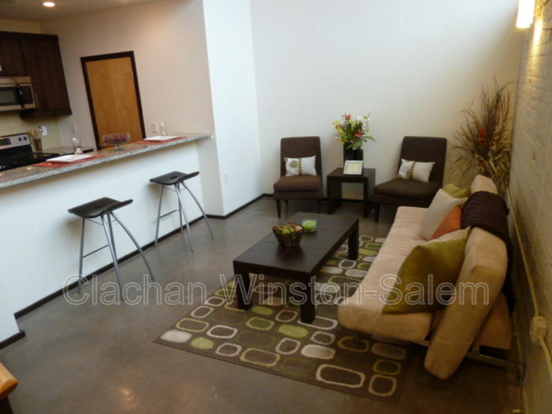 Winston Salem Apartment: 675 N. Main St