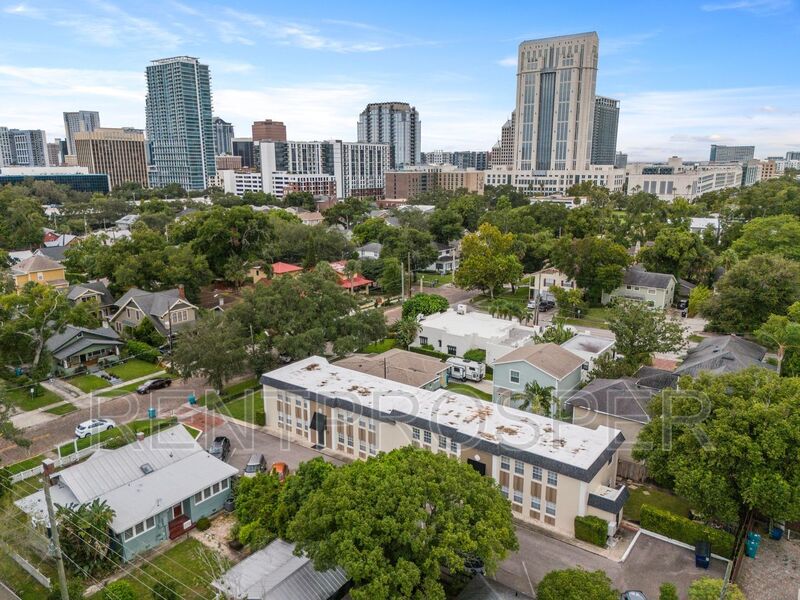 Orlando Condo: 317 E Amelia St