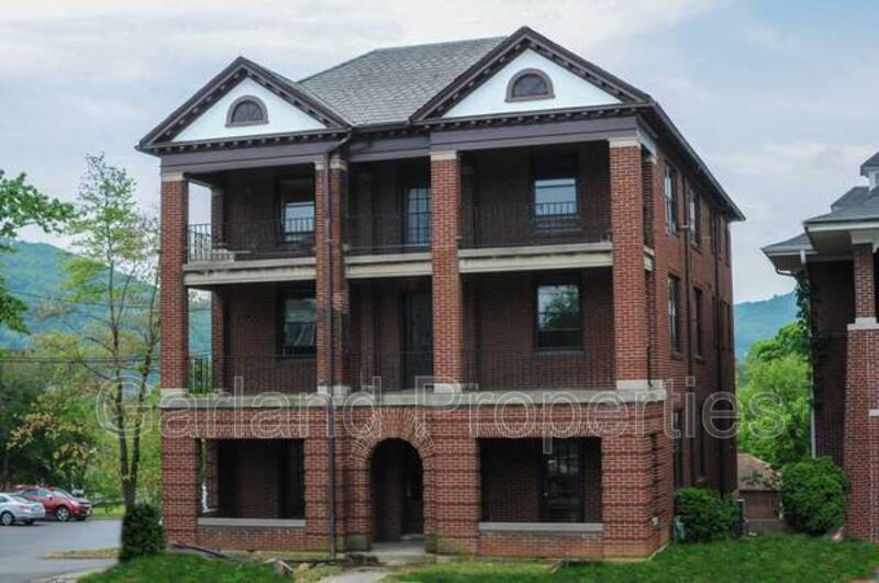 Roanoke Condo: 356 Walnut Ave, SW, - C