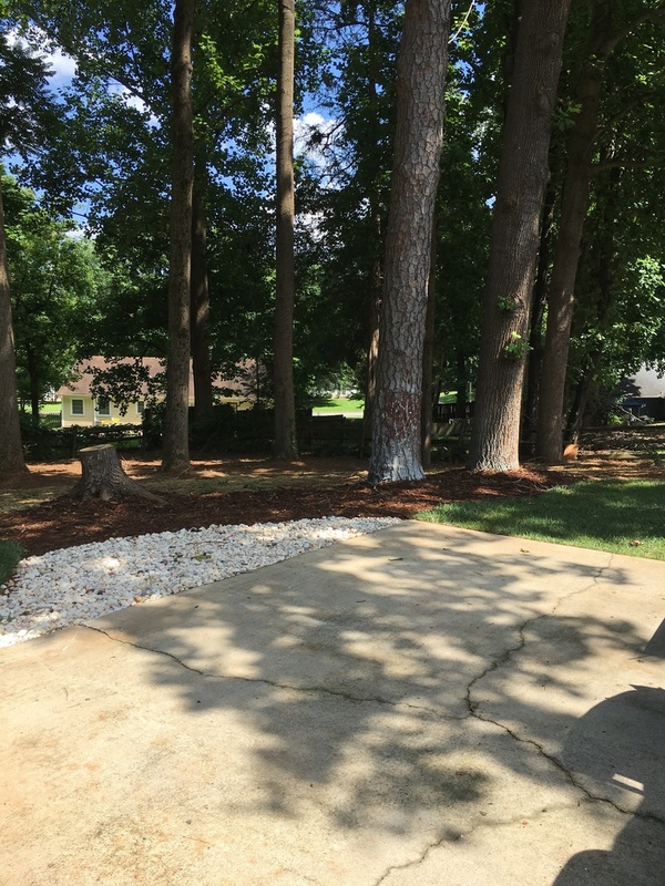 Request a Viewing for 3008 Ardoch Drive Tenant Turner