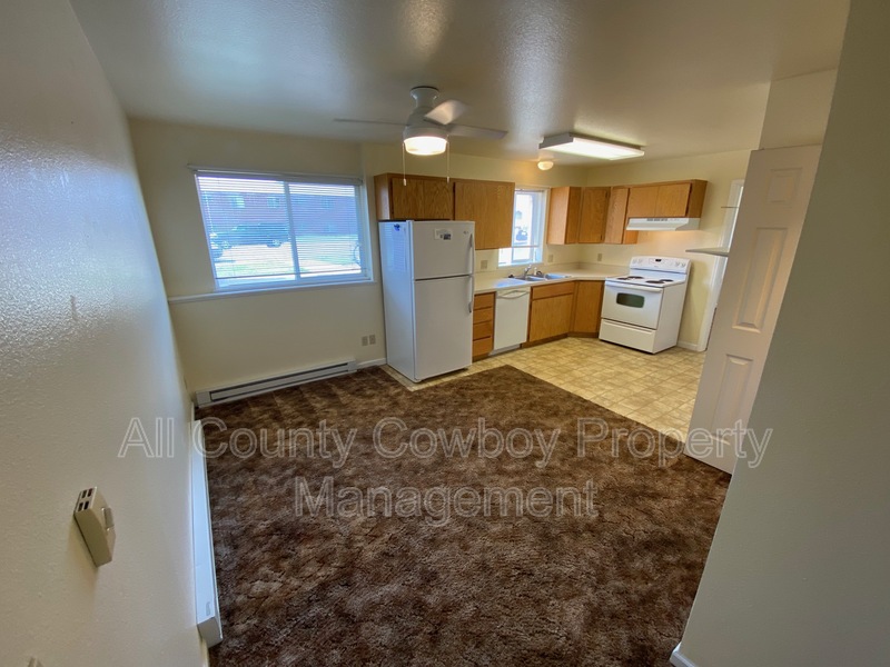 Laramie Condo: 509 E. Curtis St.