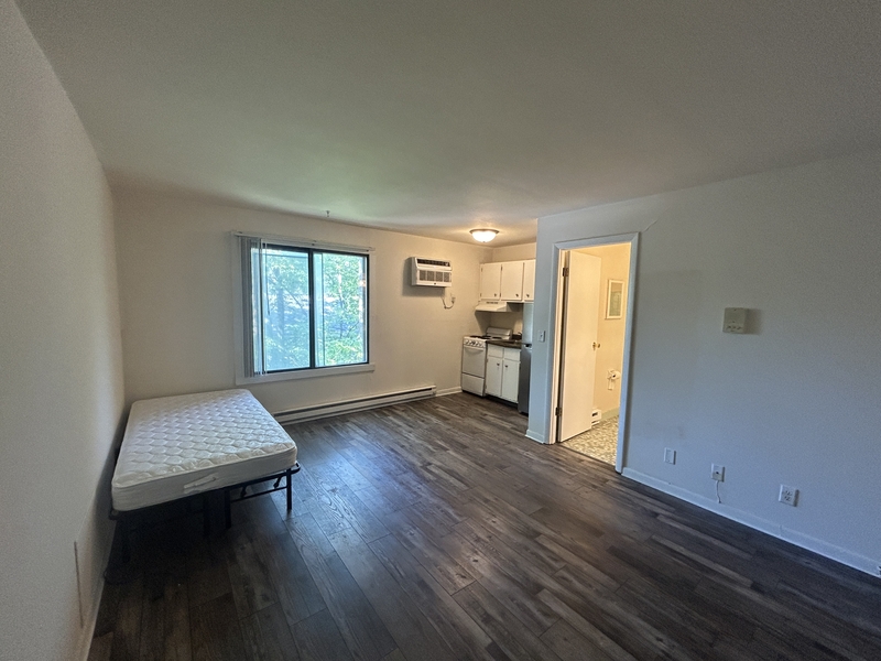 Madison Condo: 134 E Johnson - Unit 303