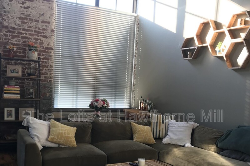 Charlotte Apartment: 1101 Hawthorne Ln
