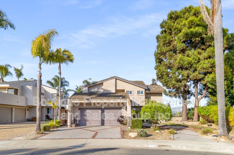 Dana Point House: 35302 Vista De Todo