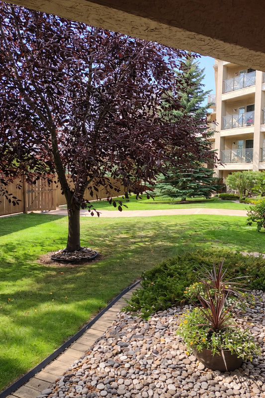 Edmonton Condo: 8912 156 St NW105