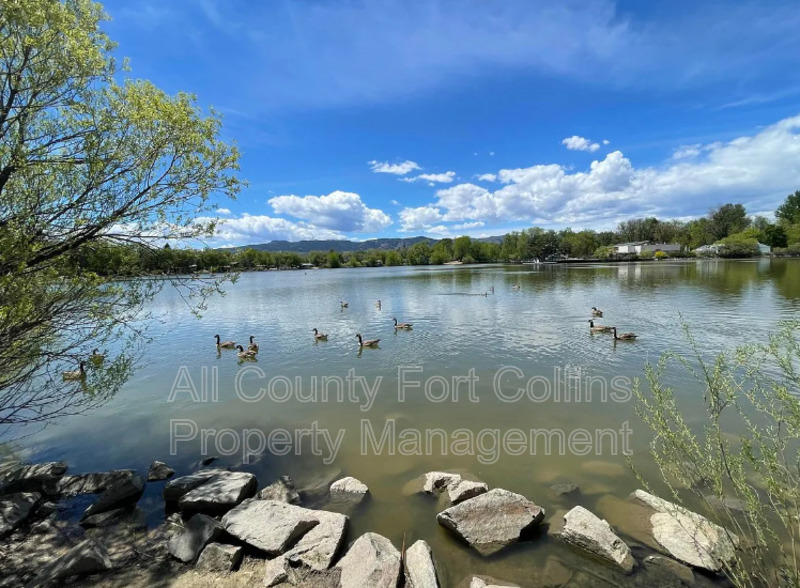 Main Rental Photo 16