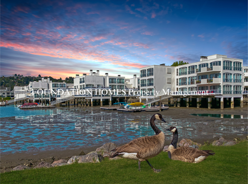 Mill Valley House: 2330 Shelter Bay