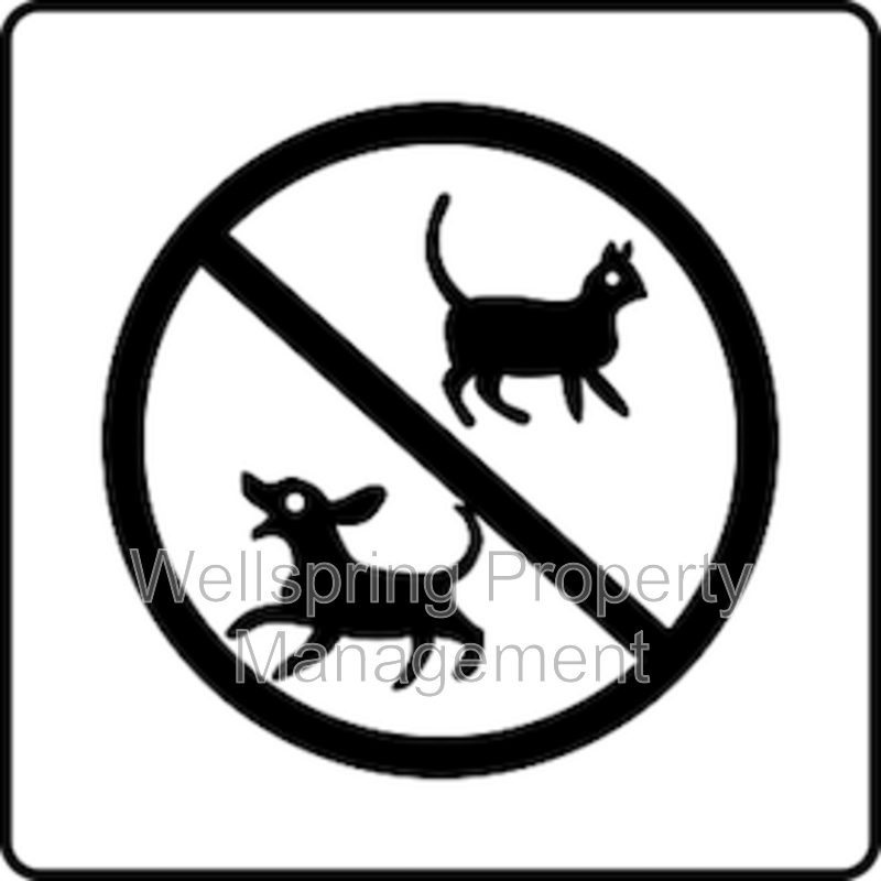 Ridgecrest House: 413 Mt Rainier Pl