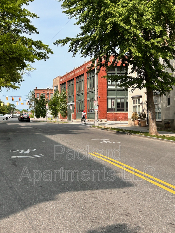 Albany Condo: 260 Washington Avenue - 207