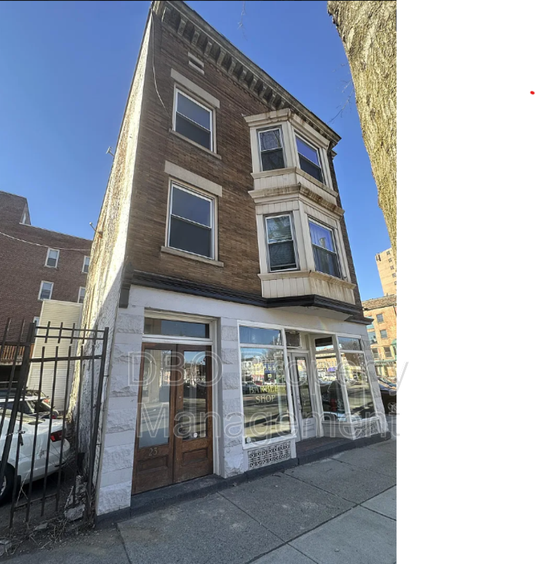 Albany Condo: 262 Washington Avenue