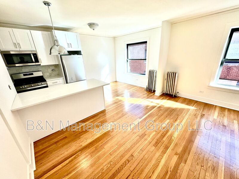 Chicago Condo: 918 W Oakdale