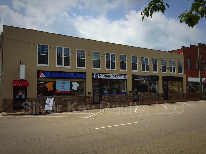 Athens Townhome: 217 E. Washington Ave