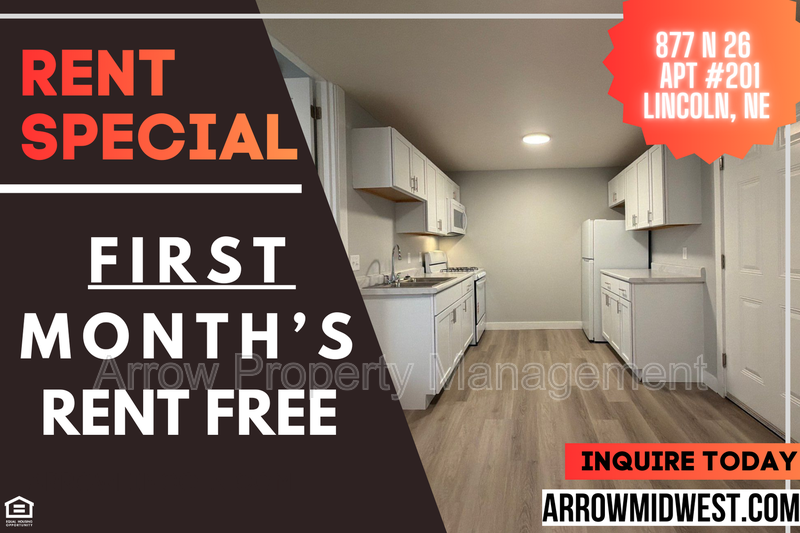 Lincoln Condo: 877 N 26