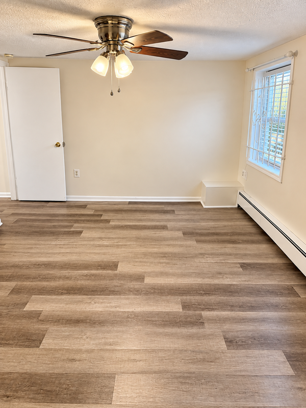 Albany Condo: 350 Madison Avenue - b