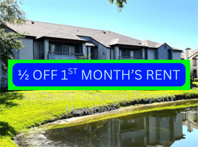 St Petersburg Condo: 10263 Gandy Blvd N #409