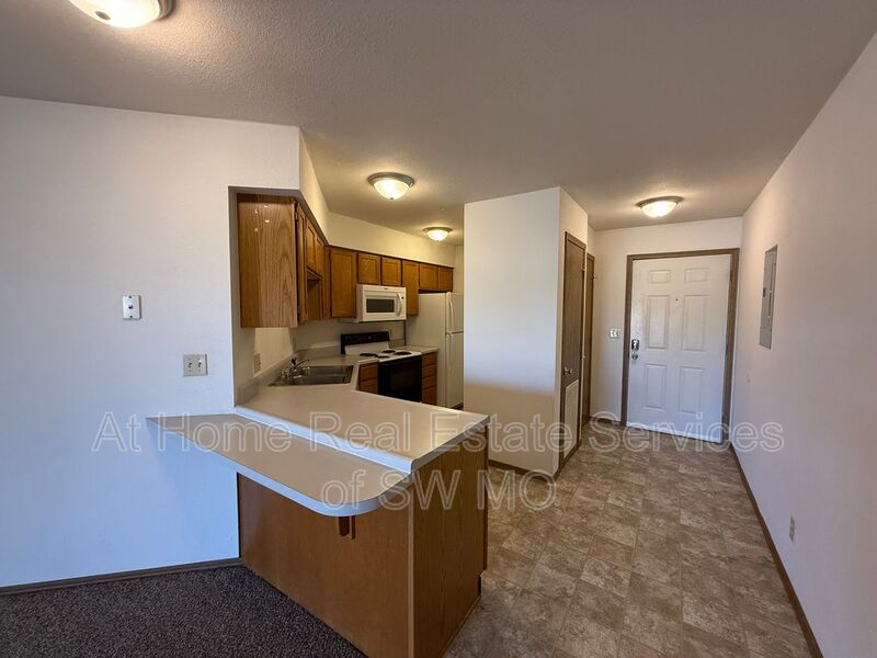 Ozark Condo: 873 N 22nd